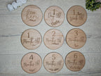 X20 Baby wooden milestone disc, cards, photo prop, flatlay, photography, new child - baby shower gift - monthly age signs