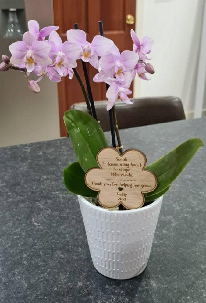 Personalised plant tag - stake - teacher gift - end of term - thank a teacher with this sweet gift - name - teaching - present - thank you
