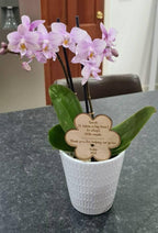 Personalised plant tag - stake - teacher gift - end of term - thank a teacher with this sweet gift - name - teaching - present - thank you