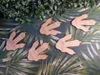X5 Wooden dinosaur footprints - claw - Dino wall art - T Rex - Bedroom decoration- Prehistoric - decor - Childrens - play room - print