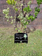 Personalised Tree Memorial or grave marker, memory plaque, Garden - Caravan - Grave side - Park - sign - engraving - anniversary - marker