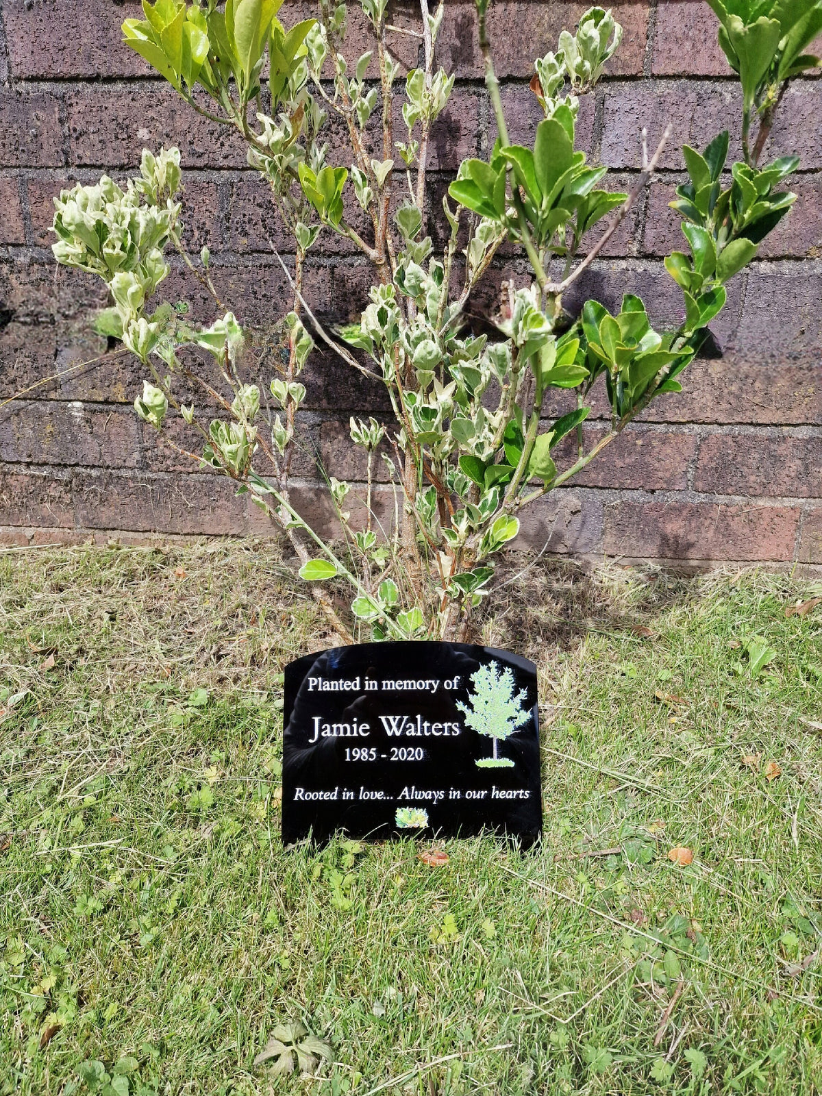 Personalised Tree Memorial or grave marker, memory plaque, Garden - Caravan - Grave side - Park - sign - engraving - anniversary - marker