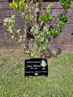 Personalised Tree Memorial or grave marker, memory plaque, Garden - Caravan - Grave side - Park - sign - engraving - anniversary - marker