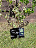 Personalised Tree Memorial or grave marker, memory plaque, Garden - Caravan - Grave side - Park - sign - engraving - anniversary - marker
