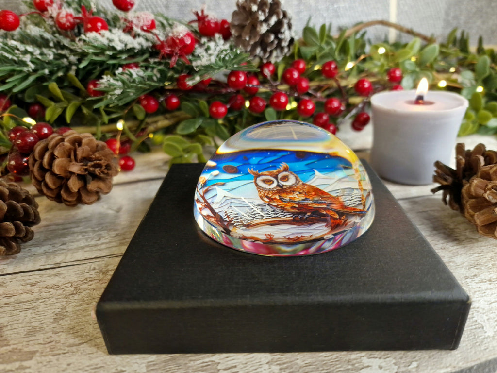 Snow Owl scene glass bubble Christmas decoration - xmas - father Christmas - Unusual gift - Office - Paperweight - unique - art - secret