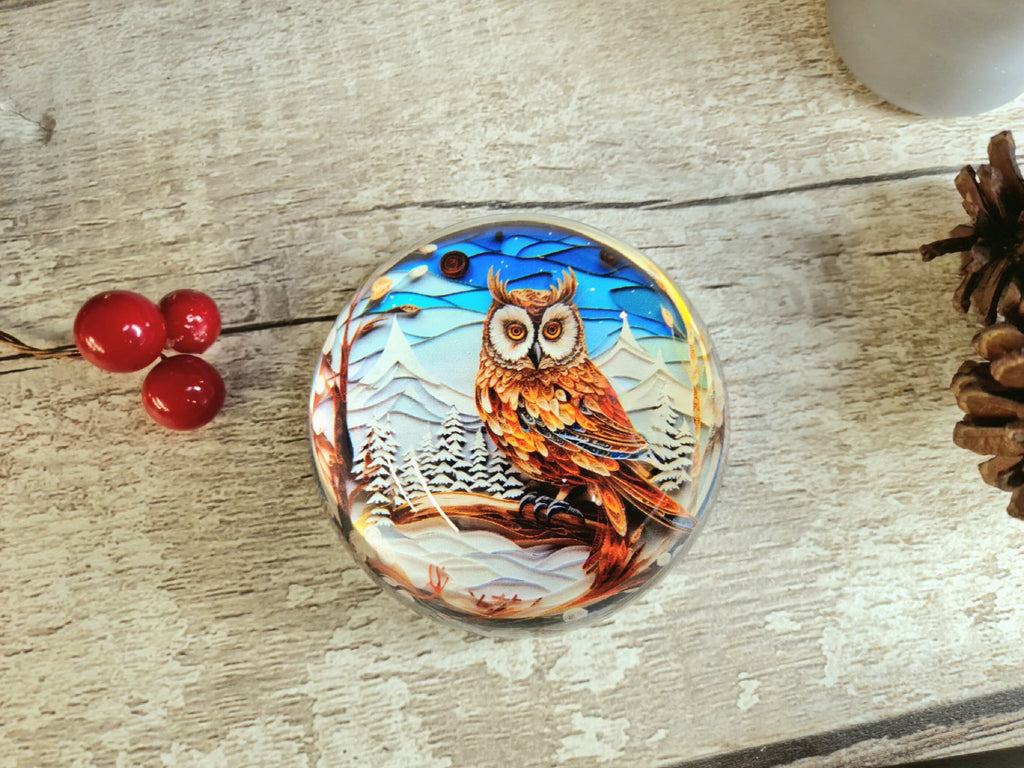 Snow Owl scene glass bubble Christmas decoration - xmas - father Christmas - Unusual gift - Office - Paperweight - unique - art - secret
