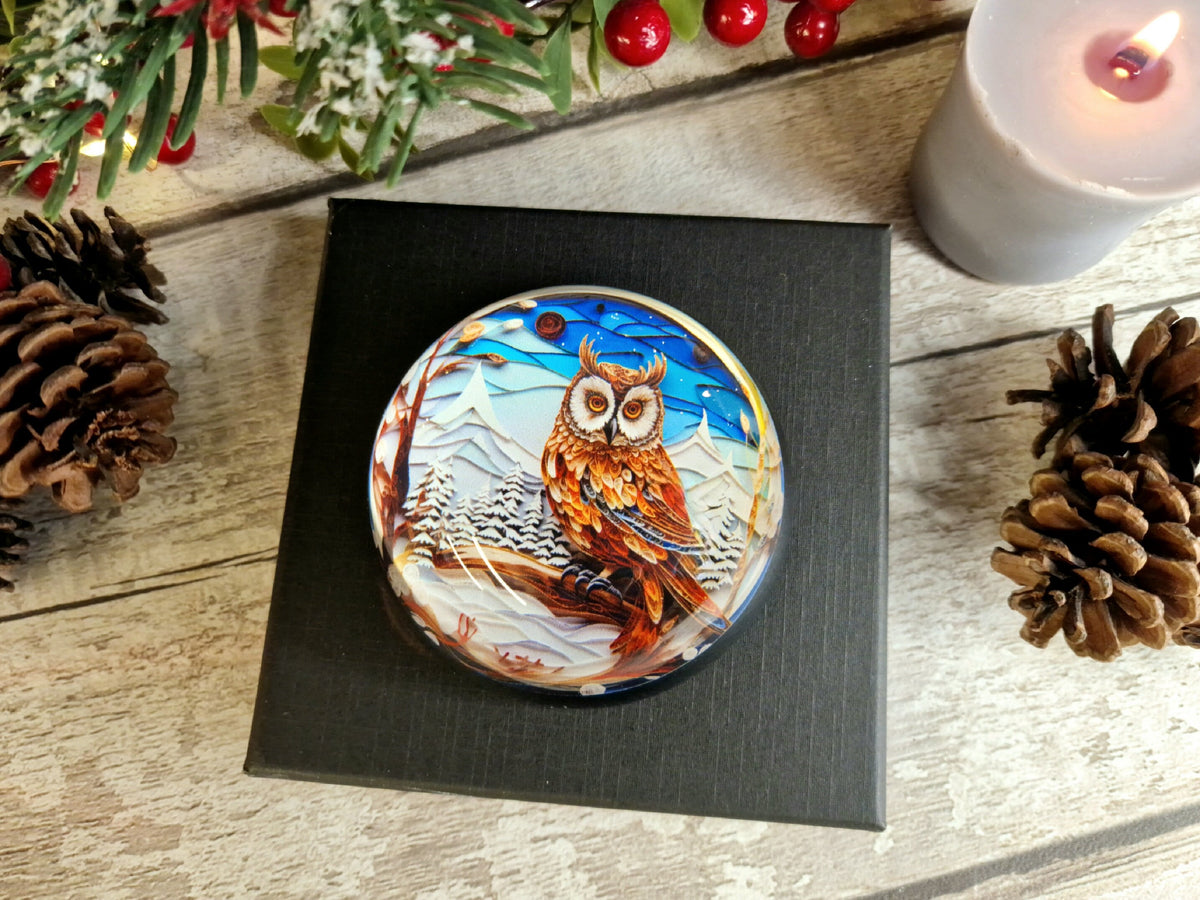 Snow Owl scene glass bubble Christmas decoration - xmas - father Christmas - Unusual gift - Office - Paperweight - unique - art - secret