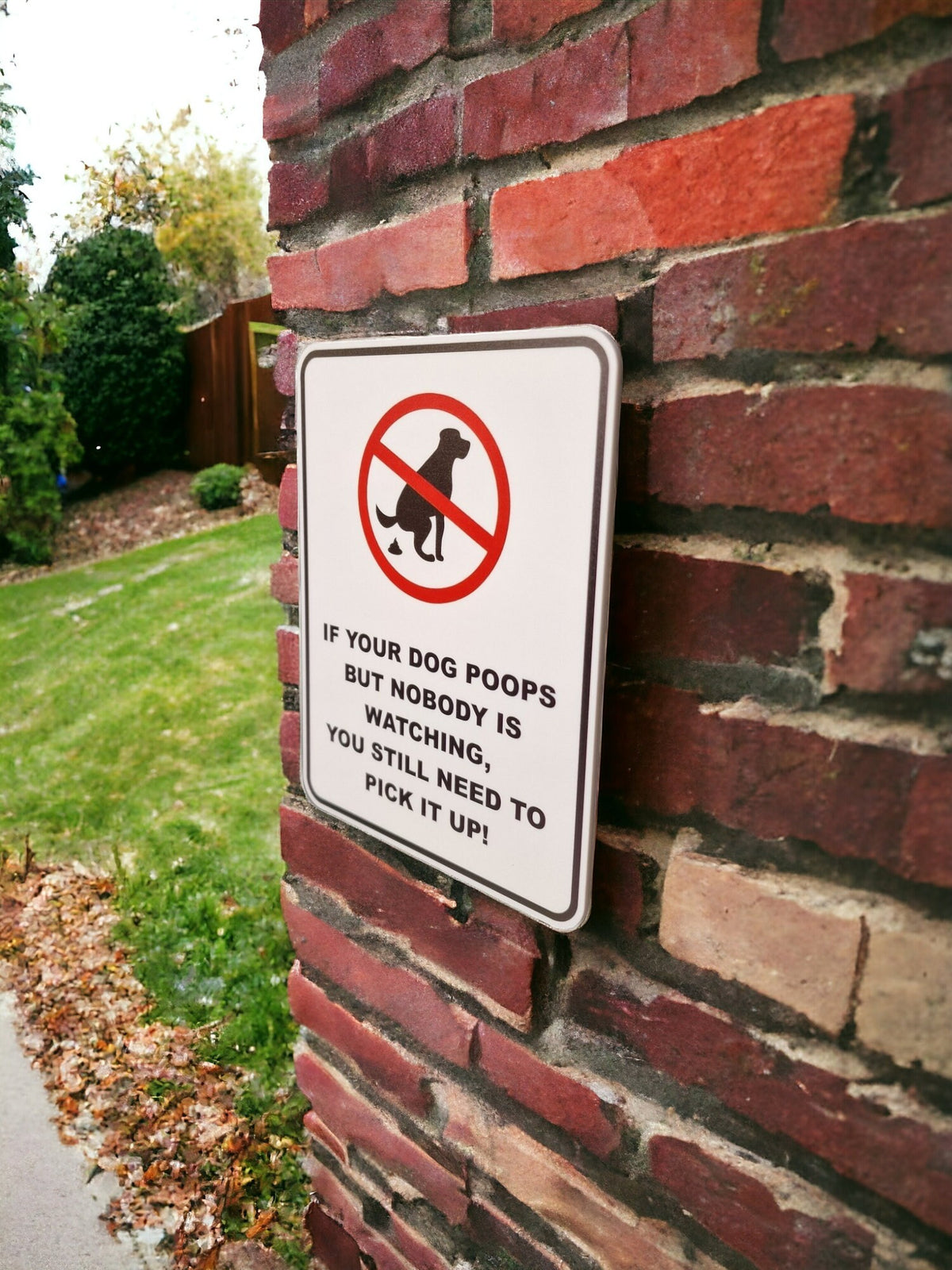 No dog poop acrylic sign - clean it up - home decor - warning - boyfriend - birthday present - warning - cctv - deterrent -