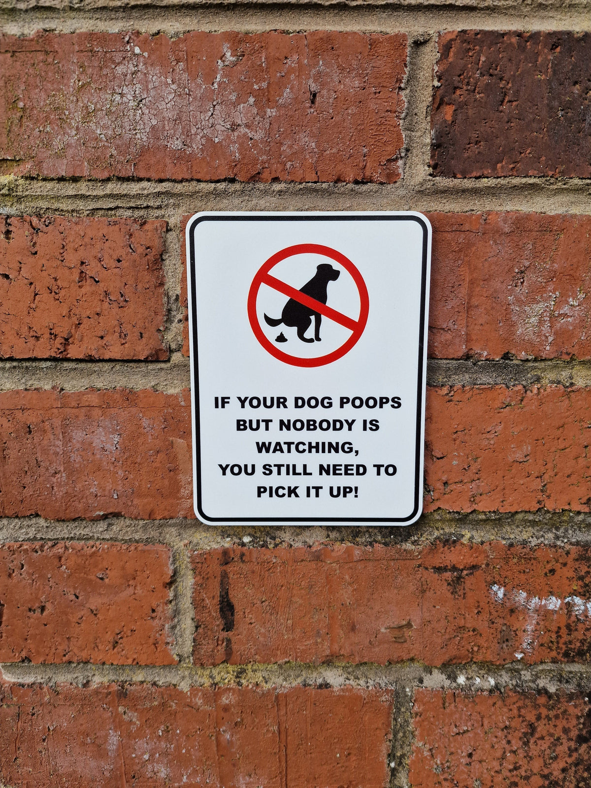 No dog poop acrylic sign - clean it up - home decor - warning - boyfriend - birthday present - warning - cctv - deterrent -