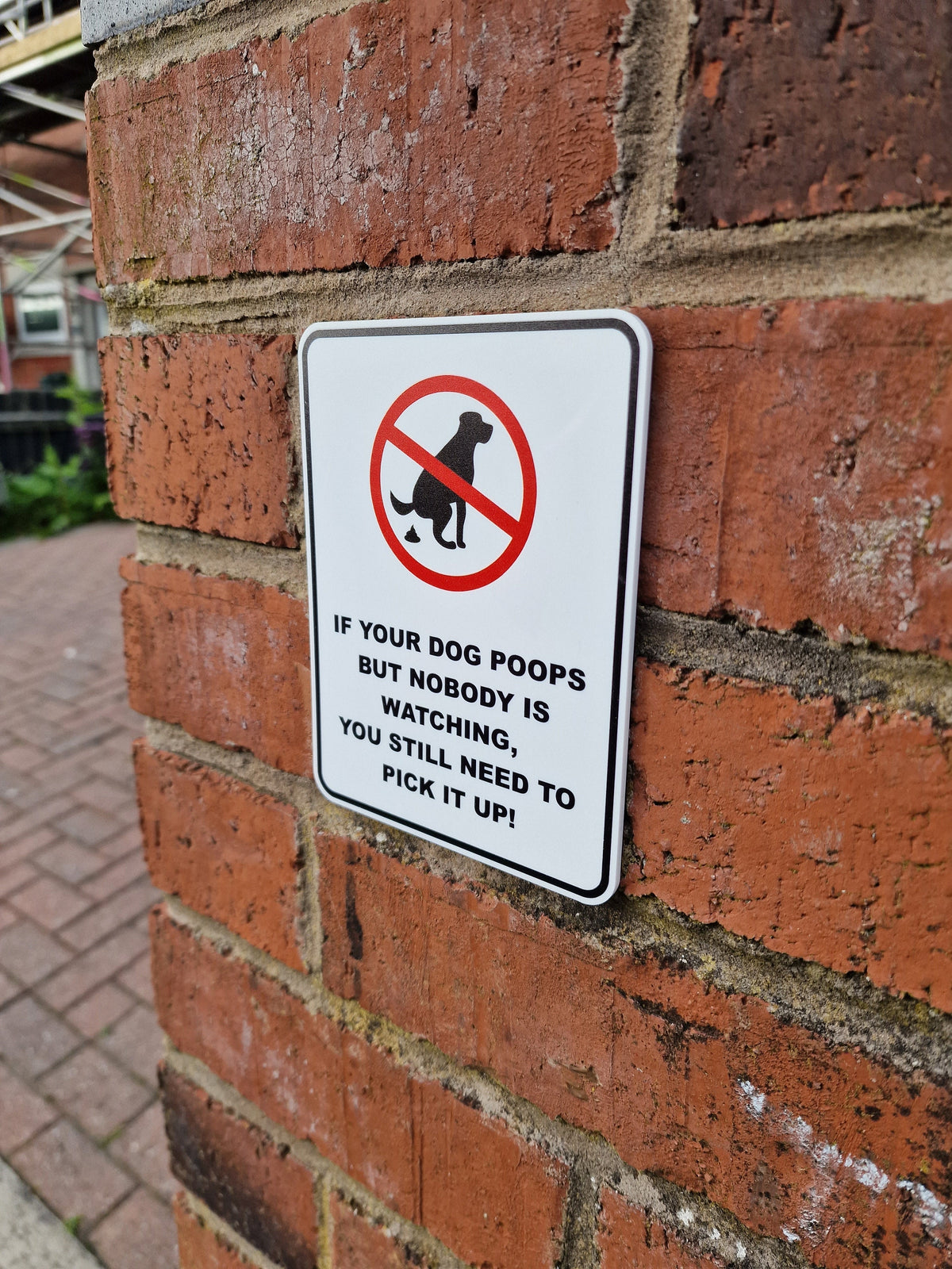 No dog poop acrylic sign - clean it up - home decor - warning - boyfriend - birthday present - warning - cctv - deterrent -