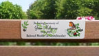 Personalised Robin Memorial Bench Plaque - Anniversary - Garden - Tree - Commemoration - Urn - Casket - Grave marker - Indoor - Outdoor