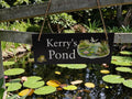 Personalised Garden Pond sign decoration - Printed onto high quality Welsh slate - great gift - Koi Pond - Gardening - rockery - yard art
